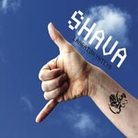 Shava: Langaton yhteys