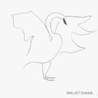 Barlast: Svanvik